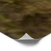 Taille Poster (Ecke)