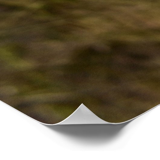 Taille Poster (Ecke)