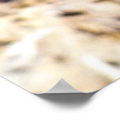 Taille Poster (Ecke)