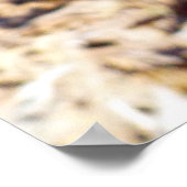 Taille Poster (Ecke)