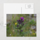 Taille Postkarte (Vorne/Hinten)