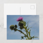 Taille Postkarte (Vorne/Hinten)