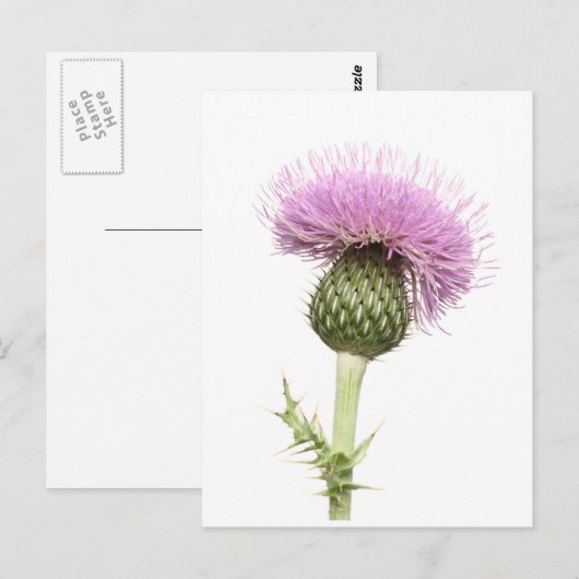 Taille Postkarte (Vorne/Hinten)