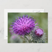 Taille Postkarte (Vorne/Hinten)