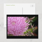 Taille Postkarte (Vorne/Hinten)