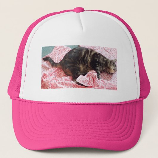 Tailor Dave Cap Truckerkappe (Vorderseite)