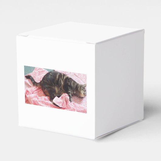 Tailor Dave Favor Box Geschenkschachtel (Vorderseite)