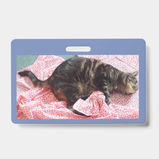 Tailor Dave ID Abzeichen Ausweis (Vorderseite)