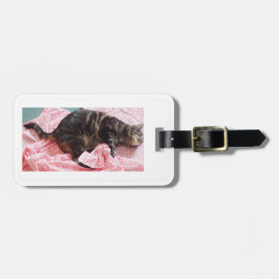 Tailor Dave Luggage Tag Gepäckanhänger