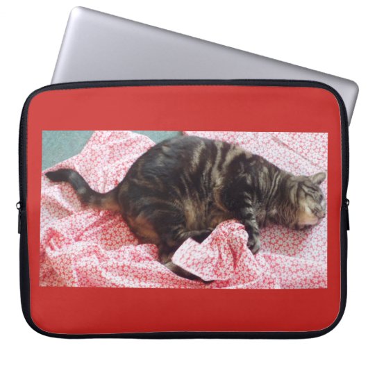 Tailor Dave Neoprene Laptop Sleeve (Vorderseite)