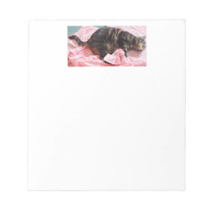 Tailor Dave Notepad Notizblock