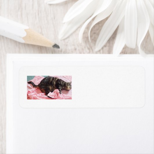 Tailor Dave Rücksendeadressen-Aufklebers (Insitu)