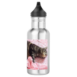 Tailor Dave Stainless Steel Water Flasche Edelstahlflasche