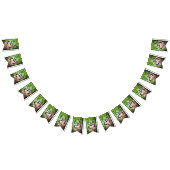 Taino-Coqui-Froschflagge Wimpelkette (Alle)