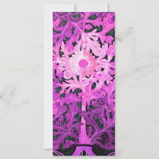 TAISCH, rosa, weiß Ankündigung (Vorderseite)