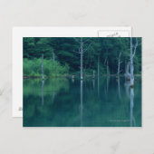 Taisho Pond Postkarte (Vorne/Hinten)
