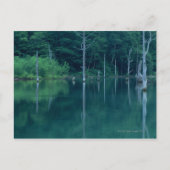 Taisho Pond Postkarte (Vorderseite)