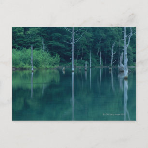 Taisho Pond Postkarte