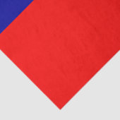 Taiwan-Flagge: Republik China, Chinesisch-Taipeh Seidenpapier (Detail)