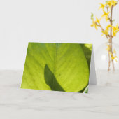 Taiwan Flora Leaf Karte (Gelbe Blume)