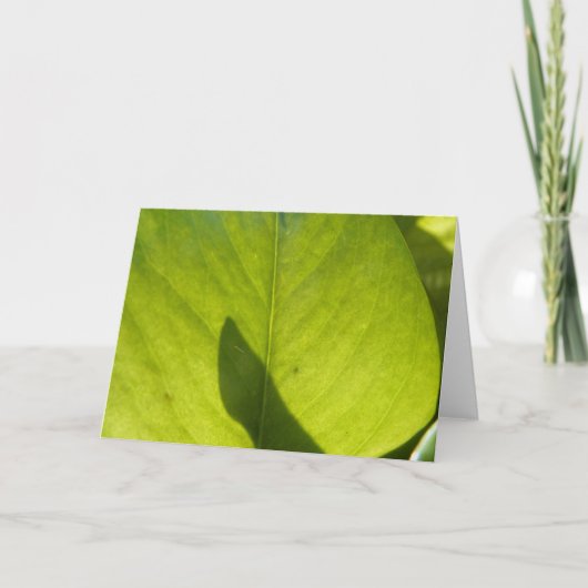 Taiwan Flora Leaf Karte (Vorderseite)