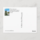 Taiwan Postkarte (Rückseite)