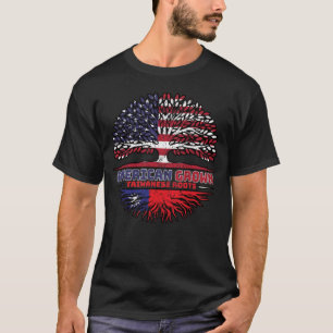Taiwan Taiwan USA USA Vereinigte Staaten T-Shirt