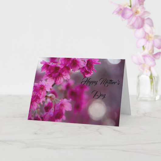 Taiwanese Cherry Tree Blossom Karte (Orchidee)