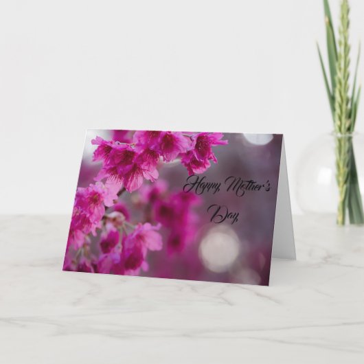 Taiwanese Cherry Tree Blossom Karte (Vorderseite)