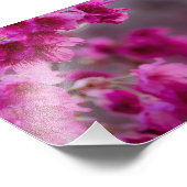Taiwanesisch Cherry Tree Blossom Fotodruck (Ecke)