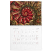 "Taiyou: Zurück zu Grundlagen" Kalender (Feb 2026)