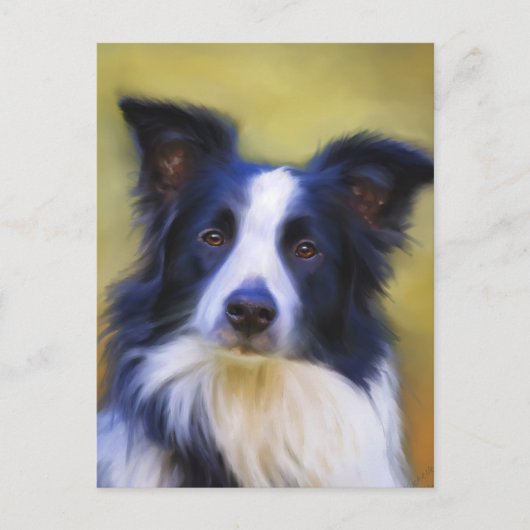Taj - Border Collie Art Postkarte (Vorderseite)