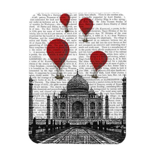 Taj Mahal und Red Hot Air Balloons Magnet (Vertikal)
