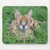 Taji - mousepad (Vorne)