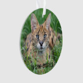 Taji - ornament (Vorderseite)