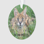 Taji - ornament (Vorderseite)