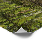 Takakkaw Falls Poster (Ecke)