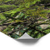 Takakkaw Falls Poster (Ecke)