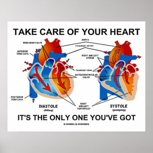 Take Care Of Your Heart It's The Only One You've Poster