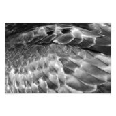 Take Flight Fotodruck (Vorne)