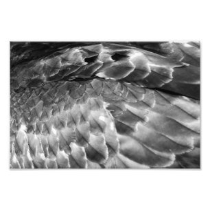 Take Flight Fotodruck