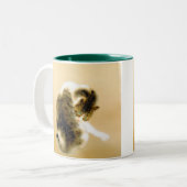 Takeuchi Seiho,Tabby Cat Zweifarbige Tasse (Vorderseite Links)
