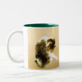 Takeuchi Seiho,Tabby Cat Zweifarbige Tasse (Links)