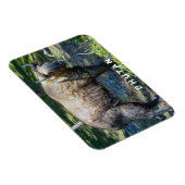 Takin, nationales Tier von Bhutan - Himalaya, Asie Magnet (Rechte Seite)