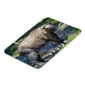 Takin, nationales Tier von Bhutan - Himalaya, Asie Magnet (Linke Seite)