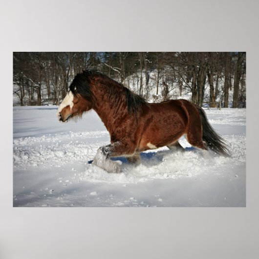 Taking It In Stride-Clydesdale in the Snow Poster (Vorne)