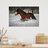 Taking It In Stride-Clydesdale in the Snow Poster (Küche)