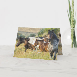 Takini und seine Grußkarte Dankeskarte