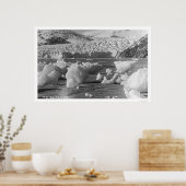 Taku Glacier Alaska 1914 Poster (Küche)