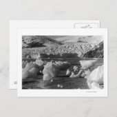 Taku Glacier bei Juneau, Alaska Fotograf Postkarte (Vorne/Hinten)